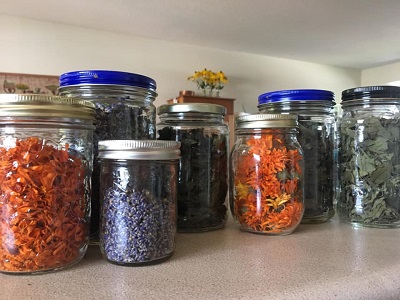 Dried herbs for tea